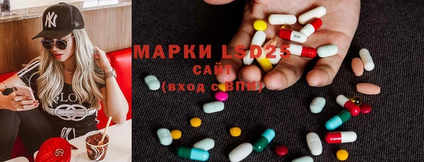 винт Алзамай