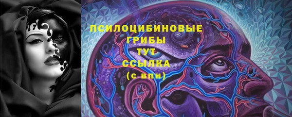 дурь Рославль