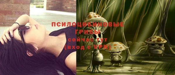 героин Алексин